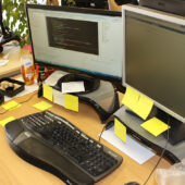  Sproing Pics (18/63)